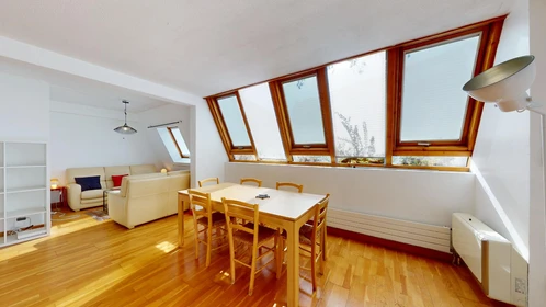 Privatzimmer in der 41 Rue Henri Faisans, Pau 64000, bild 33 von 38