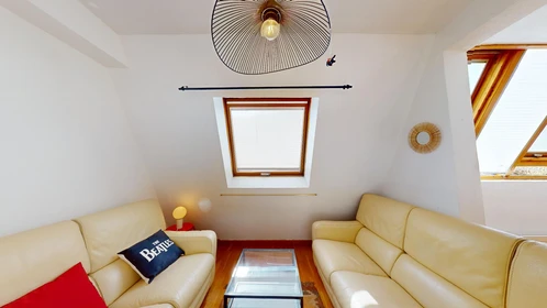 Privatzimmer in der 41 Rue Henri Faisans, Pau 64000, bild 37 von 38