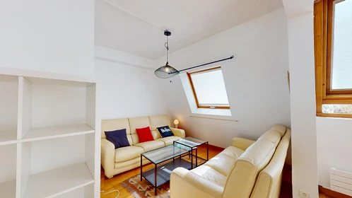 Privatzimmer in der 41 Rue Henri Faisans, Pau 64000, bild 38 von 38