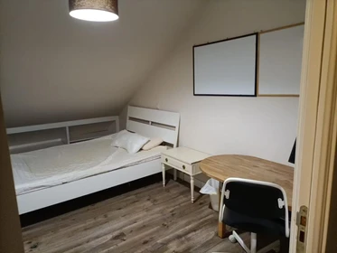 Cheap private room in Pozuelo-de-alarcon
