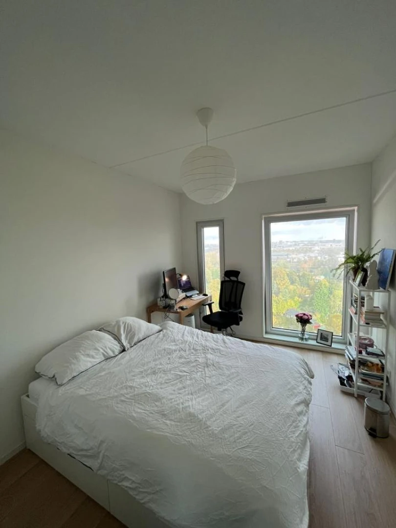 Zimmer mit Doppelbett zu vermieten amsterdam