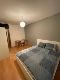 Private room at Roland Holstlaan, , image 1 of 6