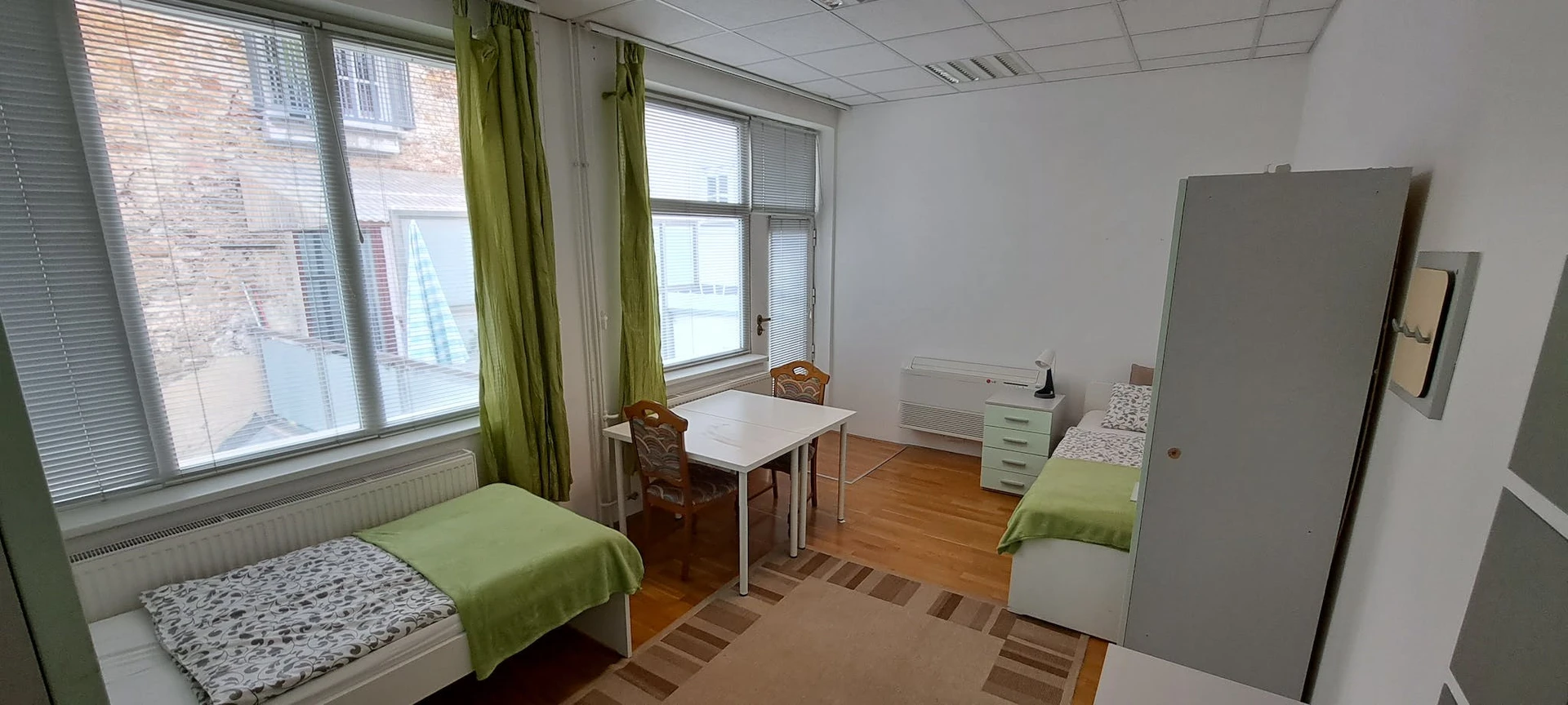 Alquiler de habitación compartida muy luminosa en Liubliana