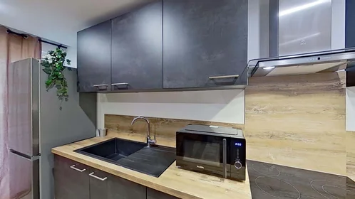 Habitación privada en 4 Rue Gaston Viaron, 29200 Brest, France, imagen 13 de 18