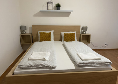 Appartamento con 2 camere da letto a Ostrava