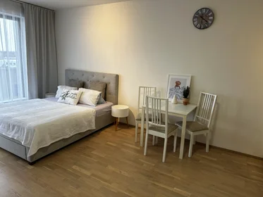 Logement entier à Učňovská 2, image 4 de 25