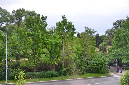 Privatzimmer in der Pionýrská 247/11, bild 3 von 22