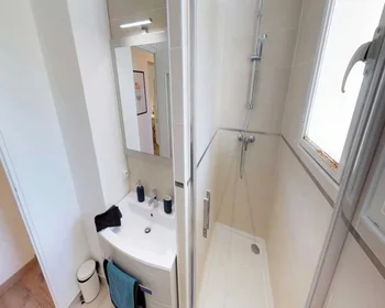 Privatzimmer in der Rue Bartholdi, Boutonnet, bild 9 von 10