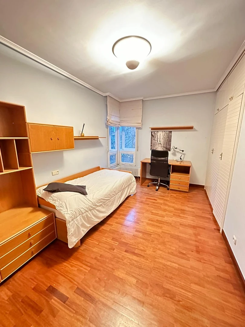 Chambre à louer dans un appartement en colocation à Vitoria-gasteiz