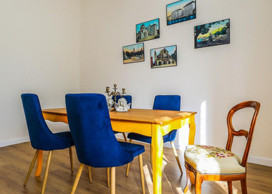 Entire fully furnished flat in Zadar
