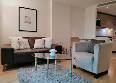 Entire fully furnished flat in london