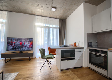 Appartamento completamente ristrutturato a Praga
