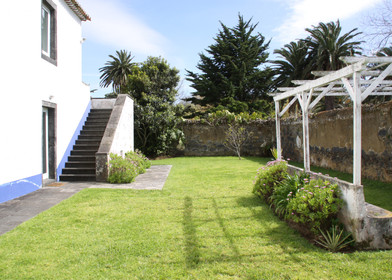 Modern and bright flat in Ponta Delgada