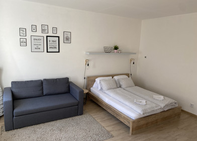 Alojamiento de 2 dormitorios en Ostrava