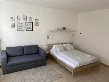 Logement entier à Na Fifejdách 1460, image 1 de 24