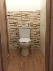 Logement entier à Na Fifejdách 1460, image 16 de 24