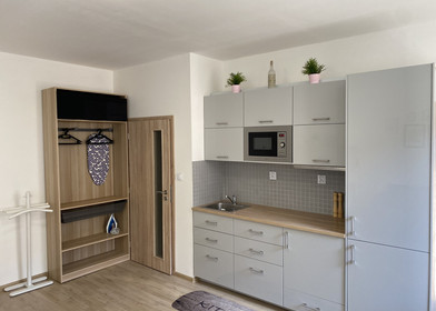 Appartamento completamente ristrutturato a Ostrava