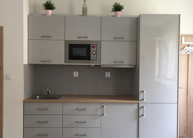 Entire fully furnished flat in Ostrava