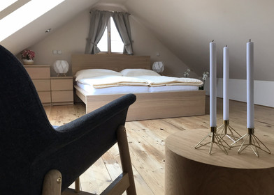 Plzeň içinde 3 yatak odalı konaklama