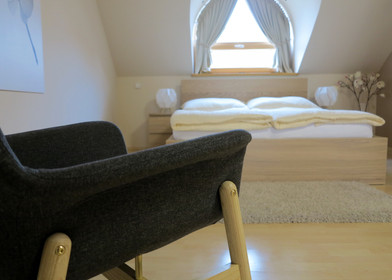 Appartamento con 3 camere da letto a Plzeň