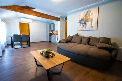 Entire apartment at Ulica Jakše Čedomila-Čuke 3, image 1 of 10
