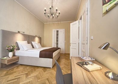 Komplette Wohnung voll möbliert in Prag