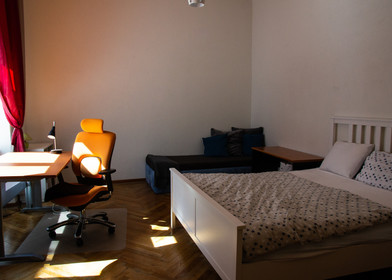 Chambre à louer dans un appartement en colocation à brno