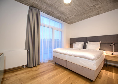 Moderne und helle Wohnung in Prag