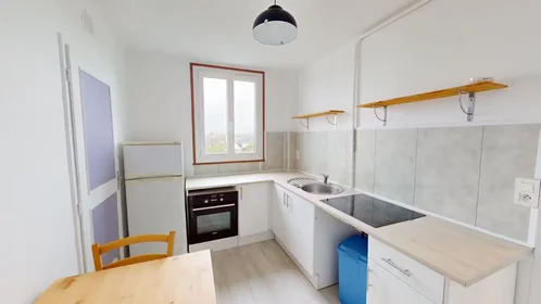 Gesamte Unterkunft in der Rue Pierre Brossolette, , bild 3 von 10