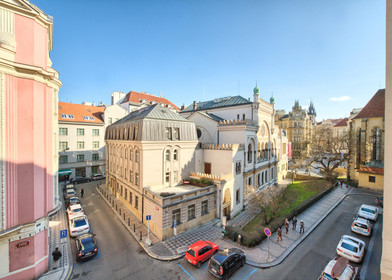 W pełni umeblowane mieszkanie w Praga
