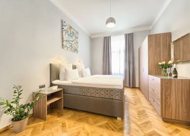 W pełni umeblowane mieszkanie w Praga