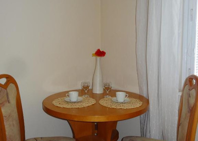 Accommodation with 3 bedrooms in Bratislava
