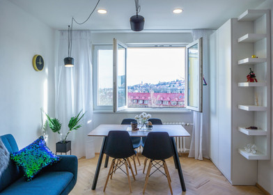 Komplette Wohnung voll möbliert in Prag