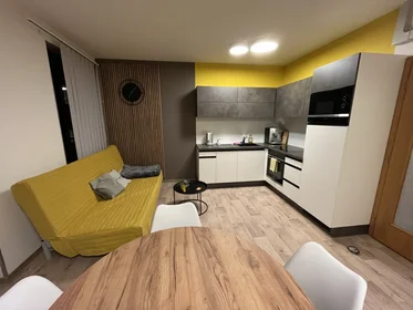Logement entier à Křížkovského 33, image 1 de 10