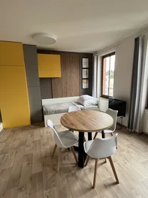 Alojamiento entero en Křížkovského 33, imagen 2 de 17