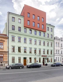 Alojamiento entero en Křížkovského 33, imagen 13 de 17