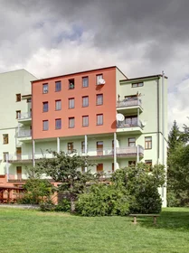 Alojamiento entero en Křížkovského 33, imagen 14 de 17