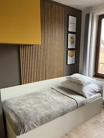 Alojamiento entero en Křížkovského 33, imagen 4 de 17