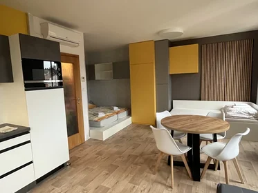 Alojamiento entero en Křížkovského 33, imagen 5 de 17
