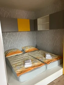 Apartamento inteiro em Křížkovského 33, imagem 9 de 17