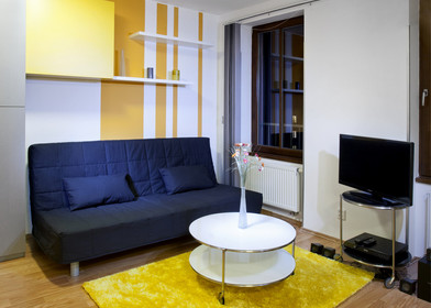 Luminoso e moderno appartamento a Brno