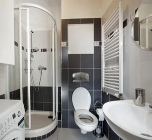 Apartamento inteiro em Křížkovského 33, imagem 10 de 17