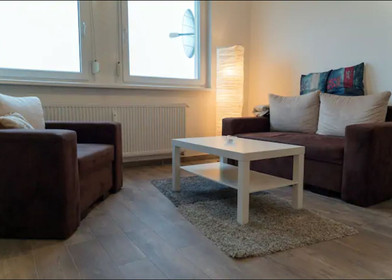 Entire fully furnished flat in Bratislava