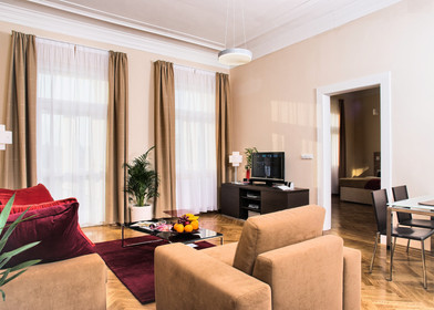 Two bedroom accommodation in Prague