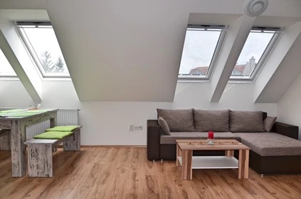 Modern and bright flat in Brno