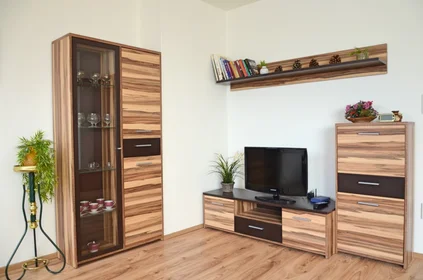 Logement entier à Vančurova 4455/28, image 1 de 10