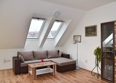 Entire fully furnished flat in Brno