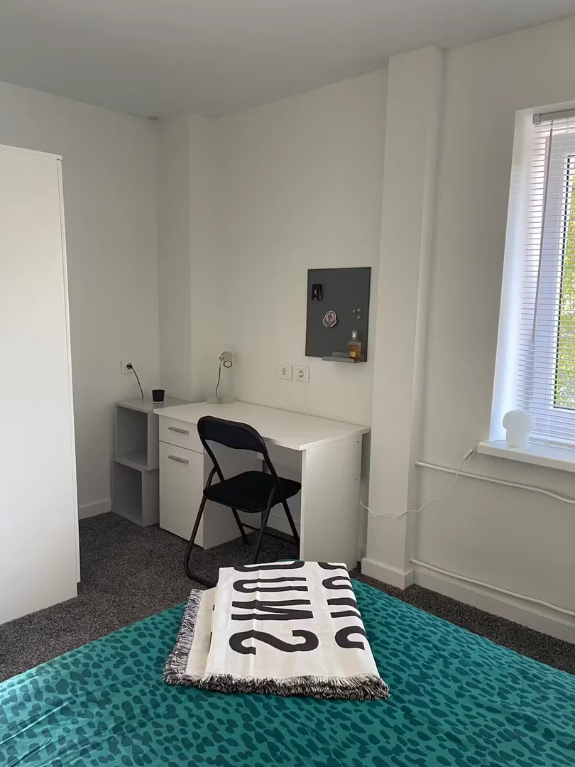 'de öğrenci dairesinde, tamamen mobilyalı kiralık oda