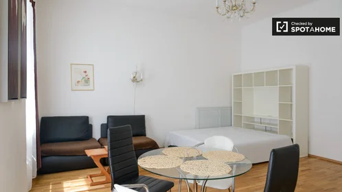 Studio at Rauchfangkehrergasse, image 11 of 19