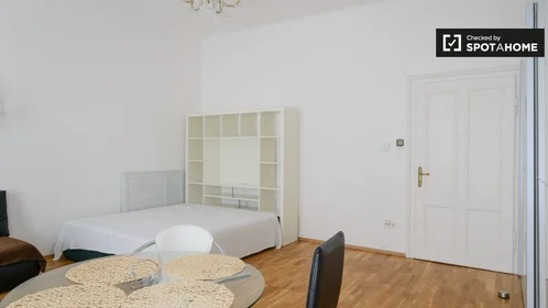 Studio at Rauchfangkehrergasse, image 13 of 19